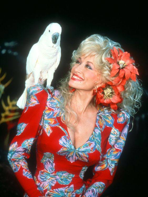 The Soulful Journey: How Dolly Parton Poured Her Heart into Every Note of ‘All I Can Do’