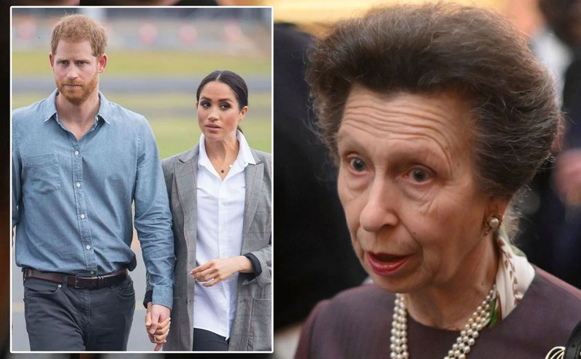 Royal Fans Urge Meghan and Harry to Rejoin Royal Family as Princess Anne Voices Opposition