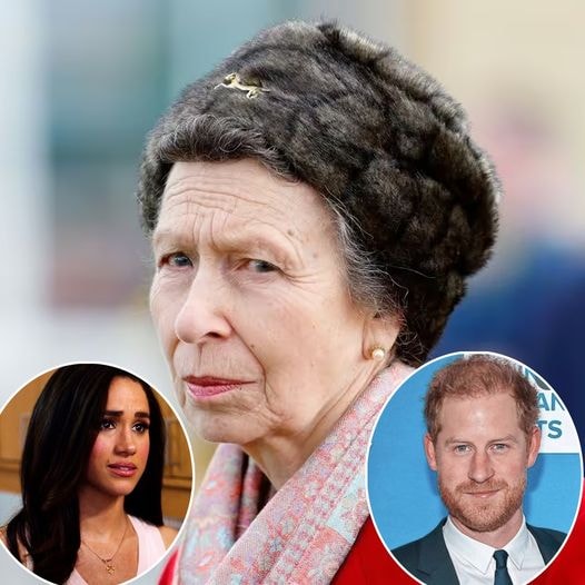 Princess Anne Shares Candid Thoughts on Meghan and Harry: A Clever Player