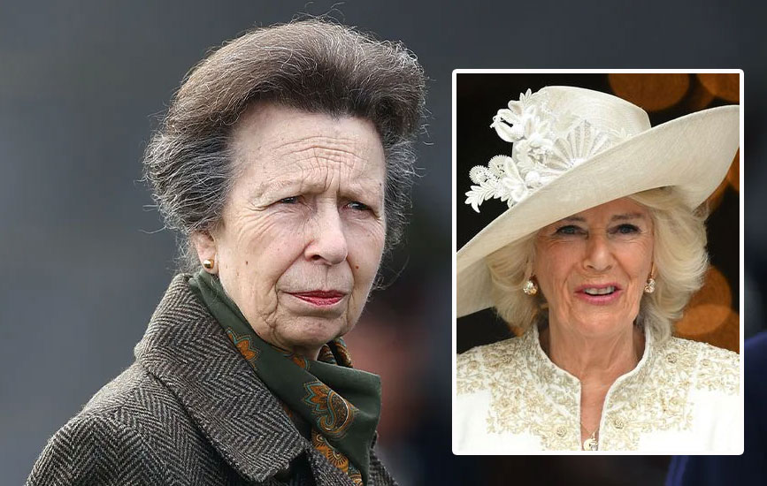 Princess Anne Challenges Camilla Over Claim to Queen Title During Tense Dinner: Discontent Among Many