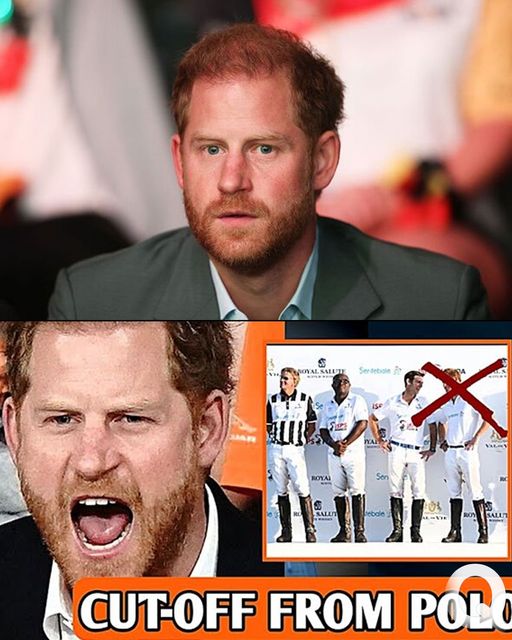 BIG BREAK! Harry furious as Netflix not only removes Meghan’s show but CUT HIM FROM Polo Show announcement