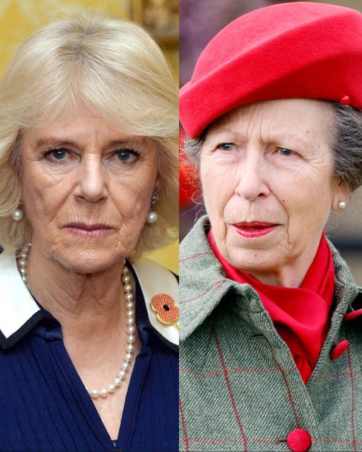 Camilla CHALLENGED again by Princess Anne over Queen title at a very TENSE dinner ‘You don’t deserve to be called that’