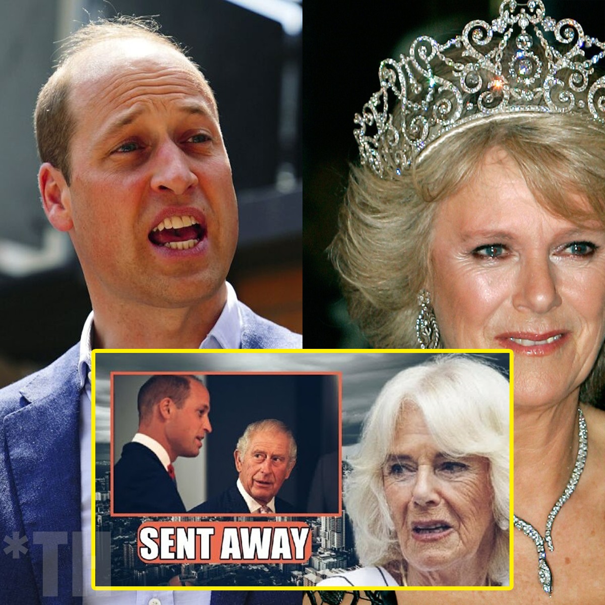 William Takes the Throne and Ousts Camilla from the Royal Family: Rejected as Mother