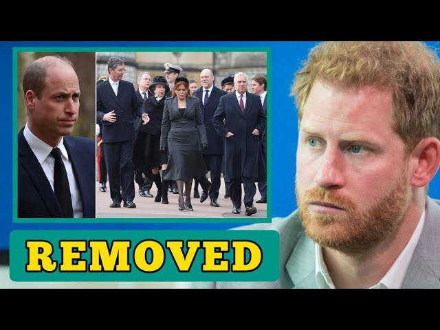 Title: Prince Harry Devastated After Removal from Line of Succession – The Start of a Punishment Journey