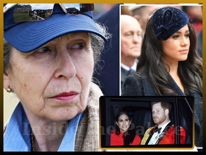 Princess Anne ‘gave’ Meghan Markle: ‘It’s a job, not a means to fame’. Princess Anne warns Meghan Markle about comments that affect RF