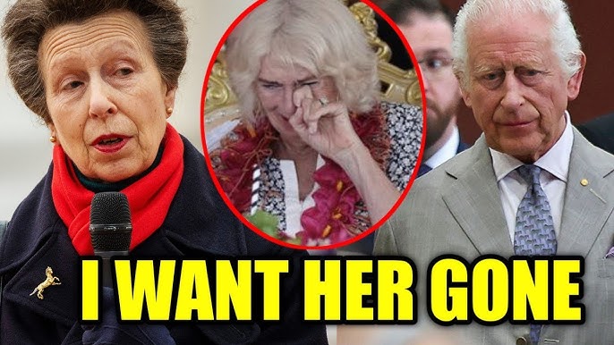 Princess Anne’s Betrayal Leaves King Charles in a Difficult Position Between Queen Camilla and Herself