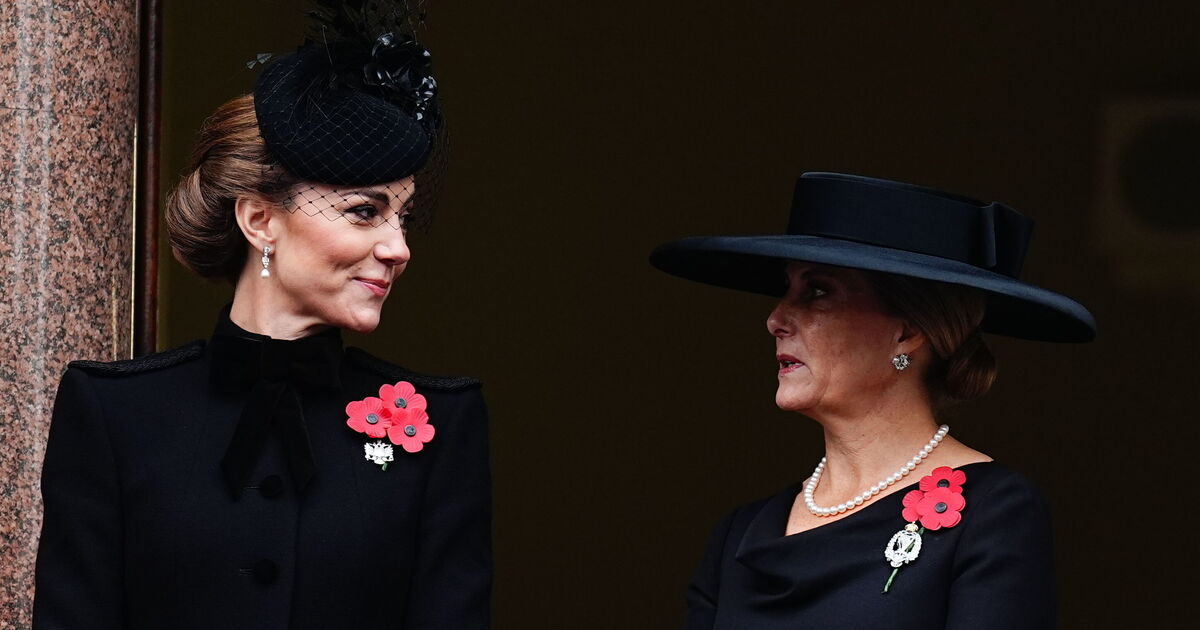 Princess Kate Takes the Lead as Senior Royals Pay Tribute on Remembrance Sunday