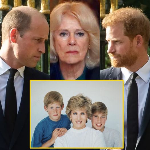 Prince William joined with Harry to kick out Queen Camilla from palace amid evidence related to Diana!