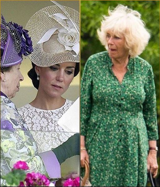 Breaking News: Upon her return to the royal fold, Kate joined forces with Princess Anne to “oust” Queen Camilla from the palace, declaring, “She harmed Diana